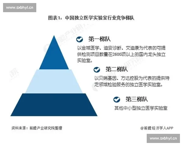 淬炼八年：中国各梯队外战的财富密码